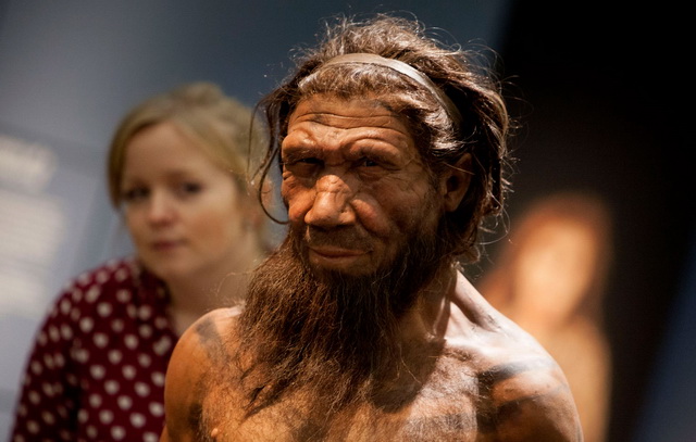 neandertalac
